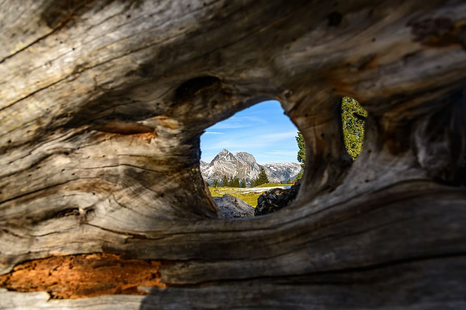 hike, log, by looking, nature, no people, solid, rock, hole HD wallpaper