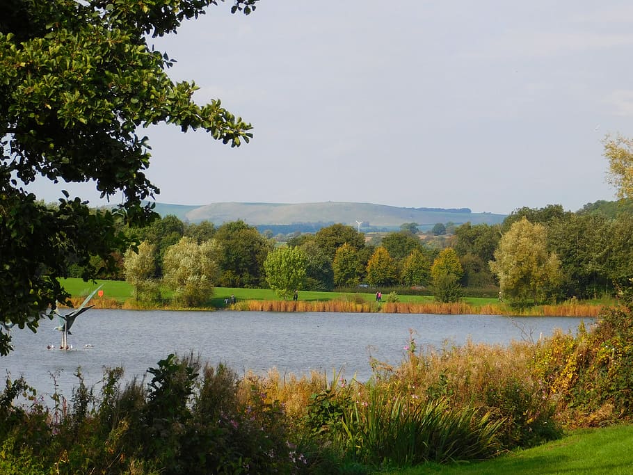 park, pond, landscape, trees, plant, water, sky, tranquility HD wallpaper