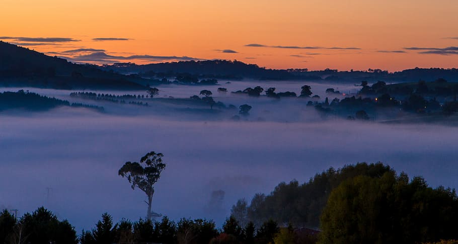silhouette of mountain above clouds, high-ground photo of tree-covered lands during foggy day HD wallpaper