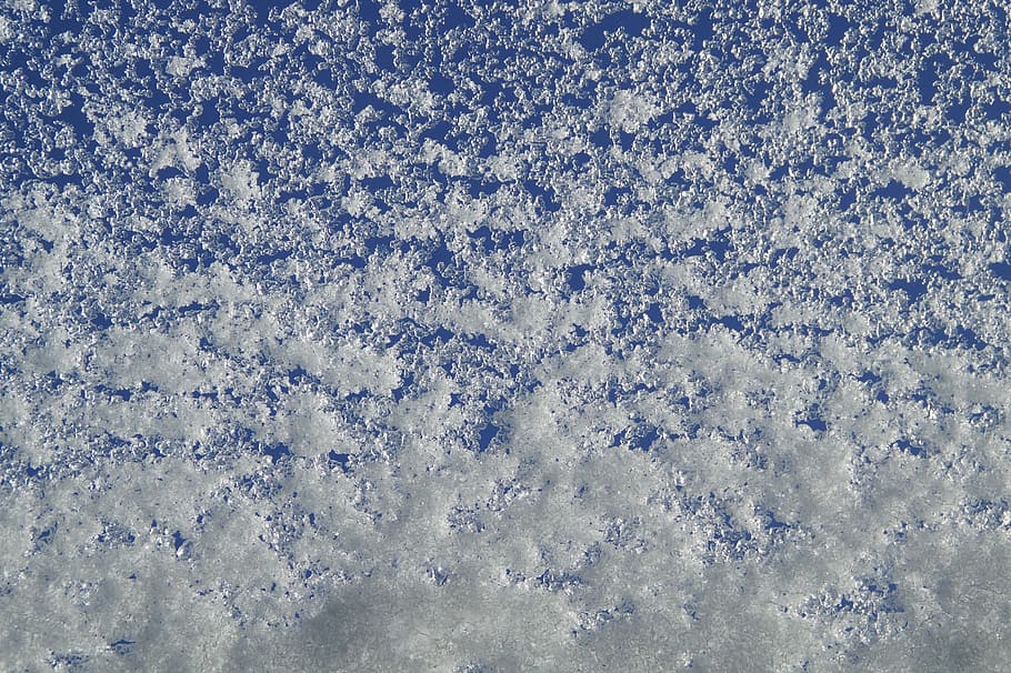 photo of white grains, snowy, structure, winter, wintry, frosty HD wallpaper