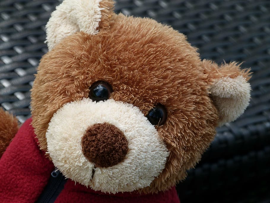 closeup photography of brown bear plush toy, teddy, fabric HD wallpaper