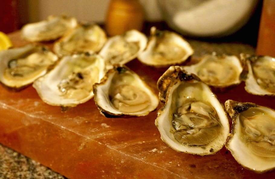 oysters, seafood, shells, kitchen, food and drink, healthy eating HD wallpaper