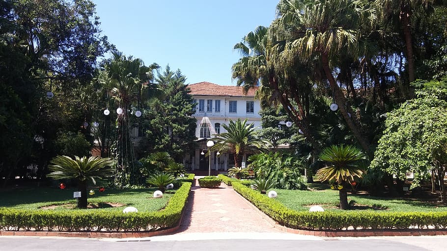tree, garden, lawn, park, plant, building exterior, architecture HD wallpaper
