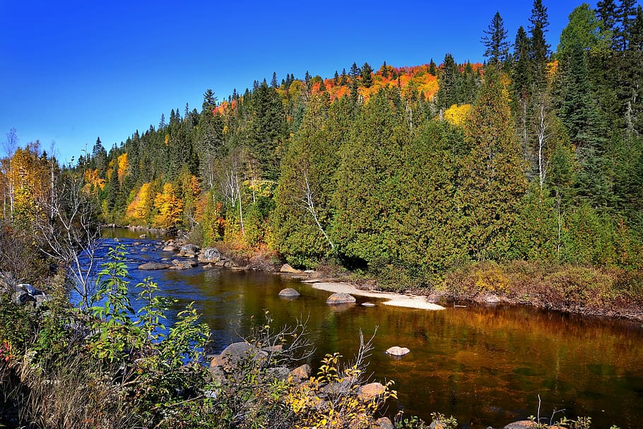 river in the middle of green trees and mountains, autumn landscape HD wallpaper