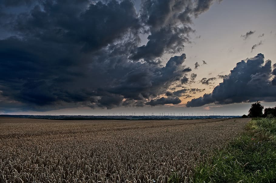landscape, mood, dusk, clouds, sky, autumn, field, cloud - sky HD wallpaper