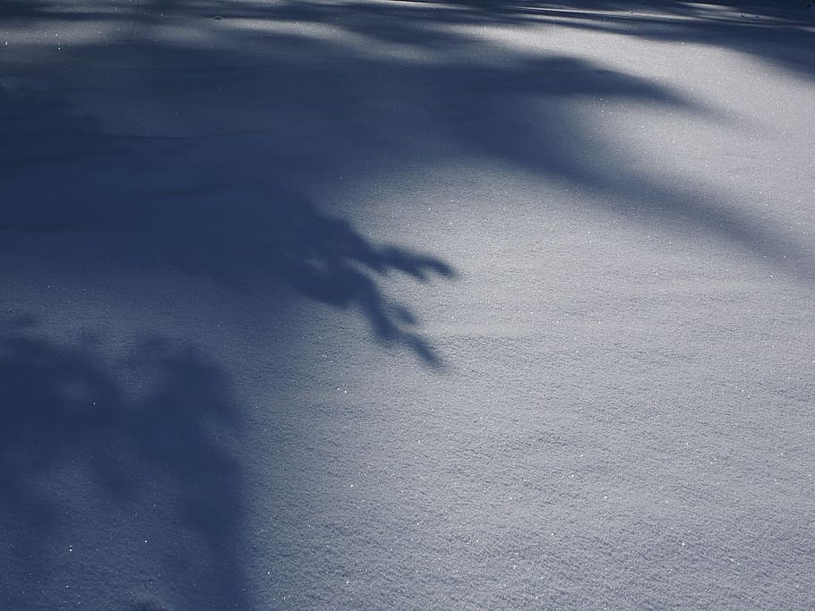 snow landscape, winter, sun, shadow, cold, snowfield, shadow play HD wallpaper