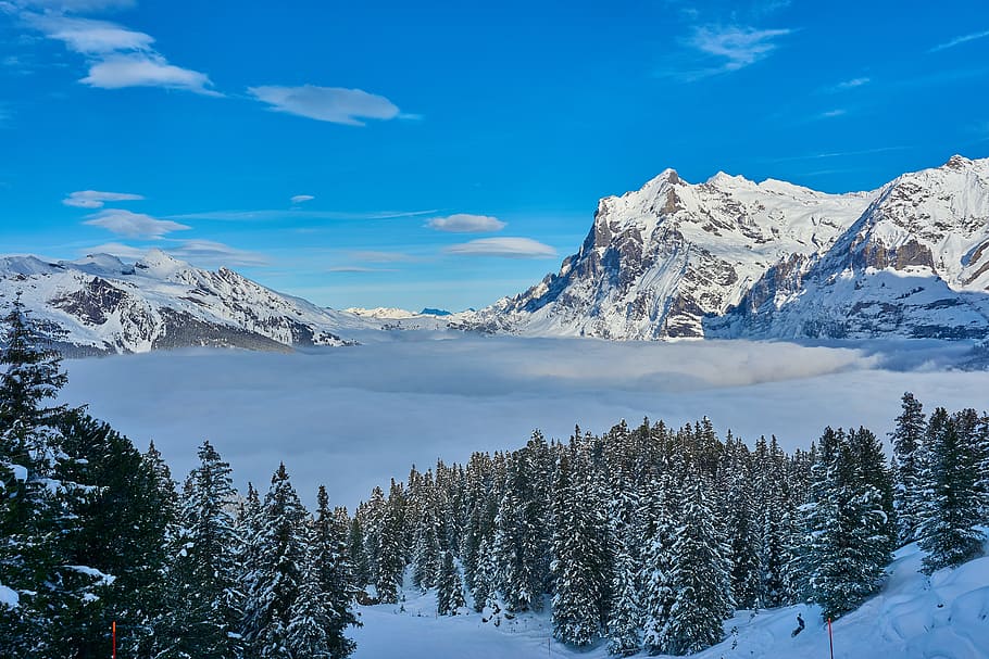 Skiing, Alpine, Sport, Snow, winter sports, mountains, skiers HD wallpaper