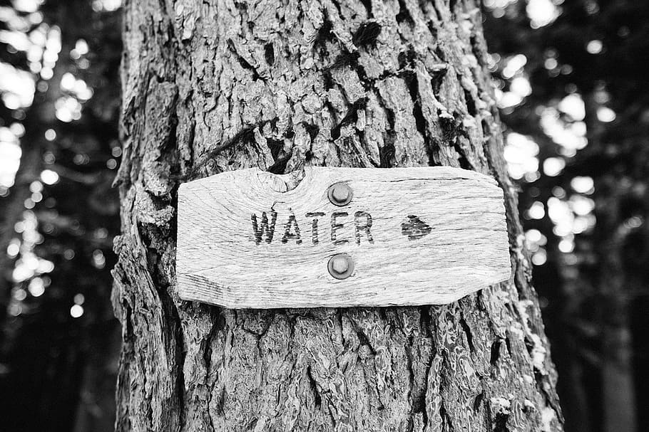 tree, sign, water, nature, bark, hiking, trekking, wooden, environment HD wallpaper