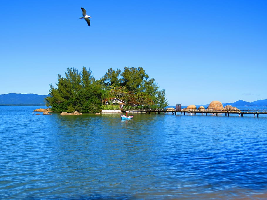 mar, landscape, nature, beach, island, florianópolis, water HD wallpaper