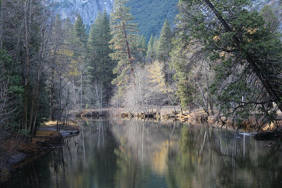 autumn, lake, forest, landscape, water, yosemite, california HD wallpaper