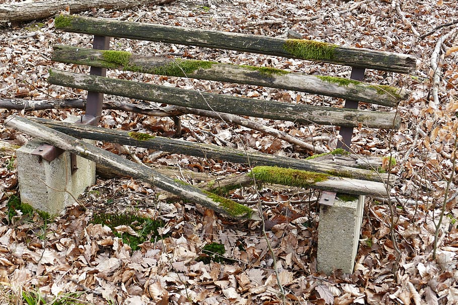 bank, forest, nature, old, bench, loneliness, bank seat, idyll HD wallpaper