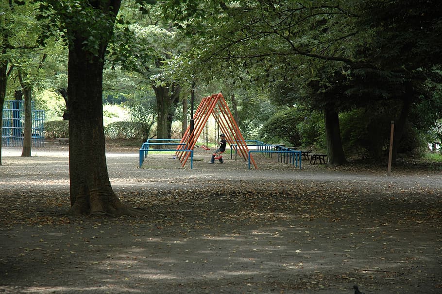 park, summer, japan, green, endless summer, big tree, sunshine, HD wallpaper