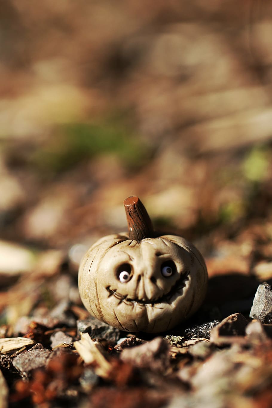 pumpkin, miniature, macro, season, tiny, small, selective focus HD wallpaper