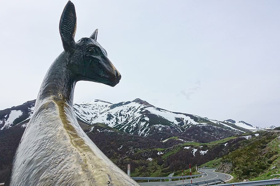 statue, deer, mountains, sculpture, animal, bronze, animal themes HD wallpaper