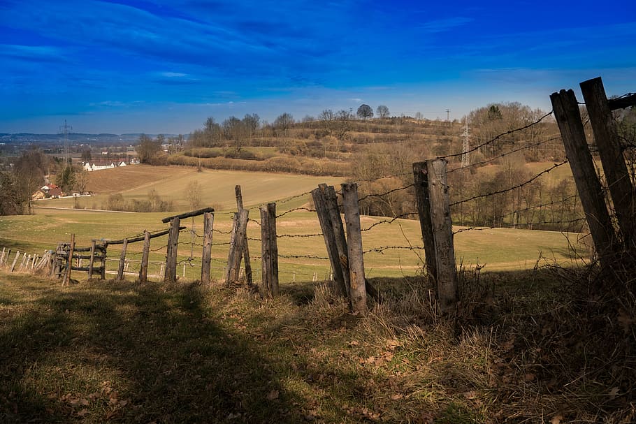 brown wooden fence, landscape, away, nature, sky, forest, barbed wire HD wallpaper