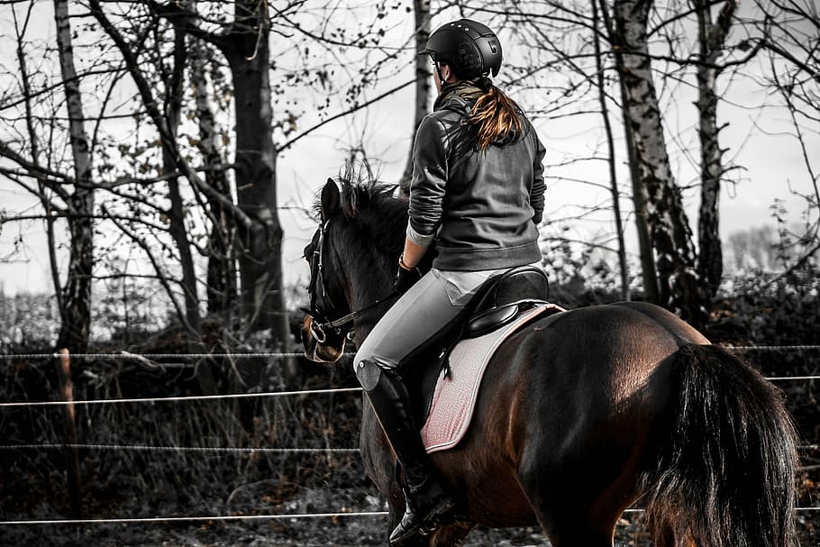 woman riding on horse, andalusians, spanish, reiter, ride, sport, HD wallpaper