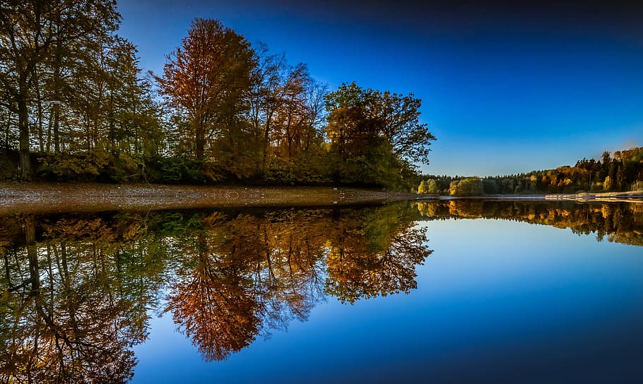 brown trees beside lake during daytime, landscape, background HD wallpaper