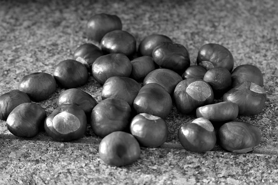 chestnut, brown, autumn, nature, shiny, fruit, collected, food HD wallpaper