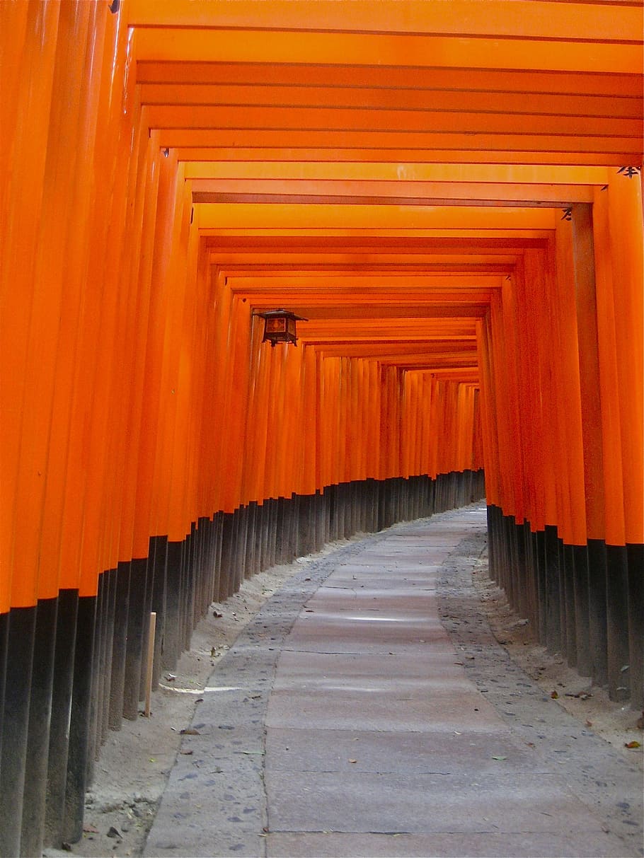 orange wooden hall, archway, japan, temple, shrine, asia, architecture HD wallpaper