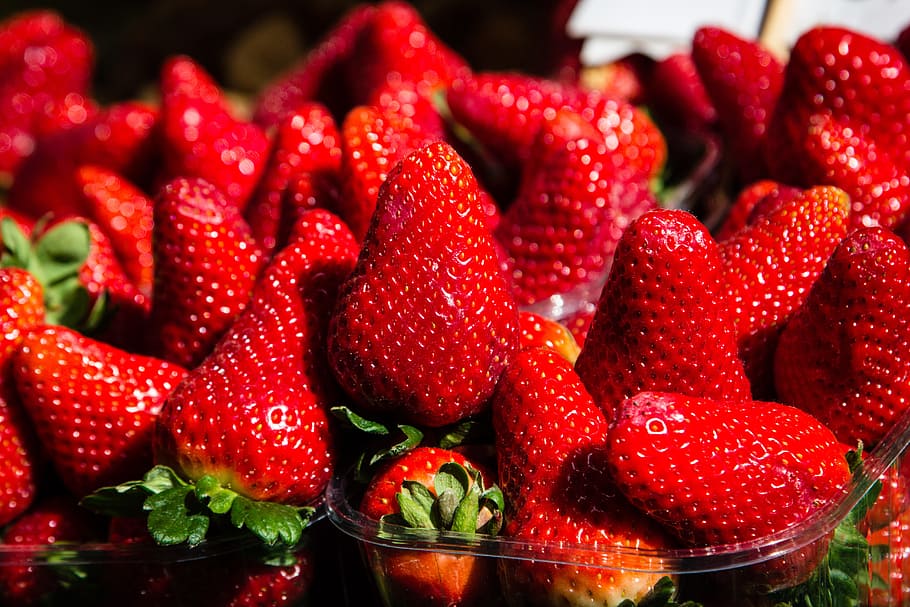 Strawberries, Fruit, Red, Food, strawberry, fresh, healthy HD wallpaper