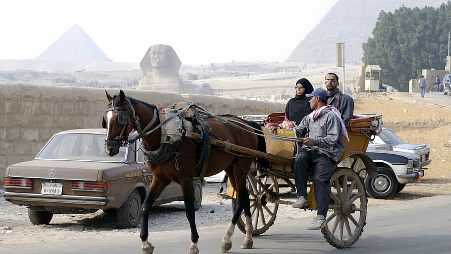 Travel, Egypt, Pyramid, Sphinx, history and modernity, horse HD wallpaper