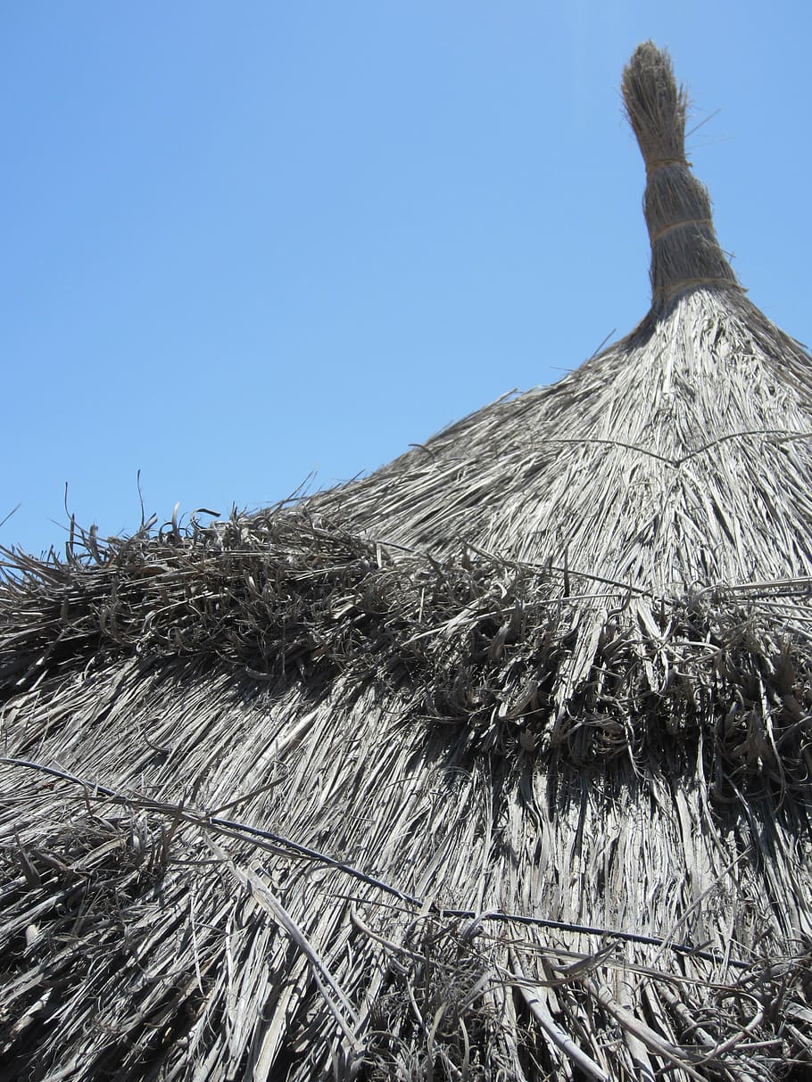 parasol, sky, tropical, holiday, clear sky, low angle view HD wallpaper