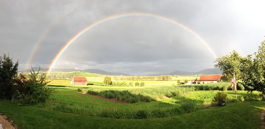 green grasses, hallau, oberhallau, rainbow, sun, refraction, spectrum, HD wallpaper