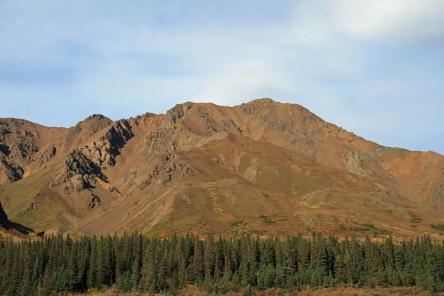 Alaska, Forest, Wilderness, Mountain, rock, nature, landscape HD wallpaper