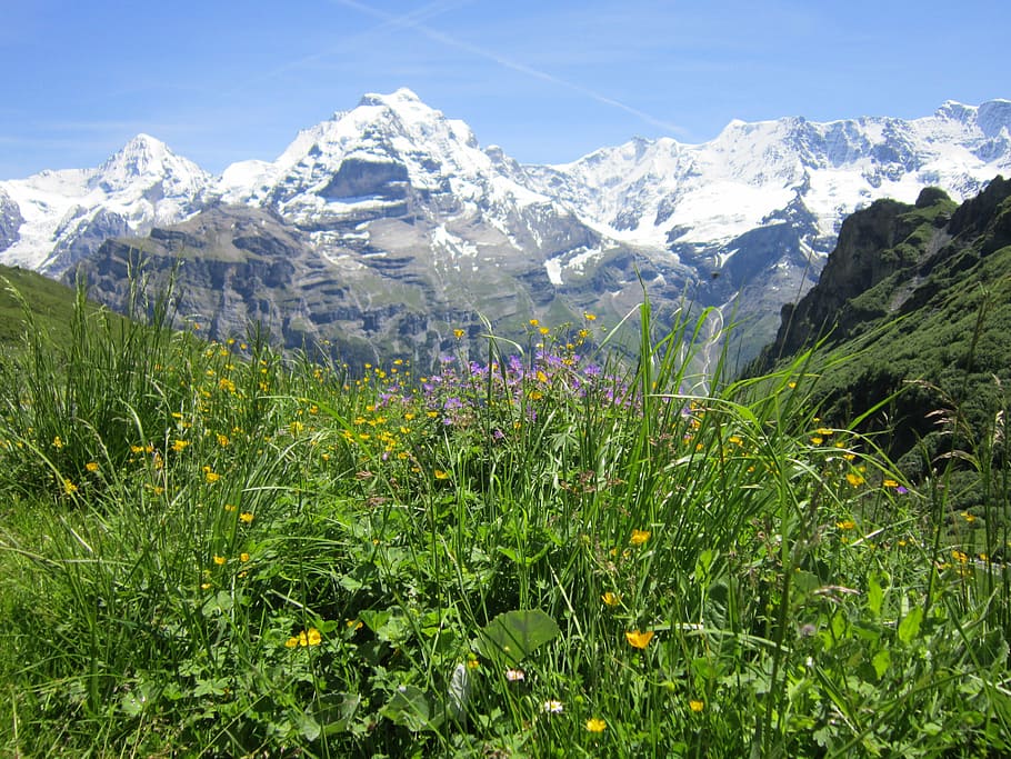 swiss, alps, alpine, mountain, landscape, travel, view, country HD wallpaper