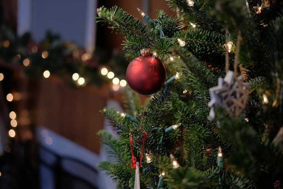 shallow focus of bauble ball, red Christmas bauble, tree, christmas tree HD wallpaper
