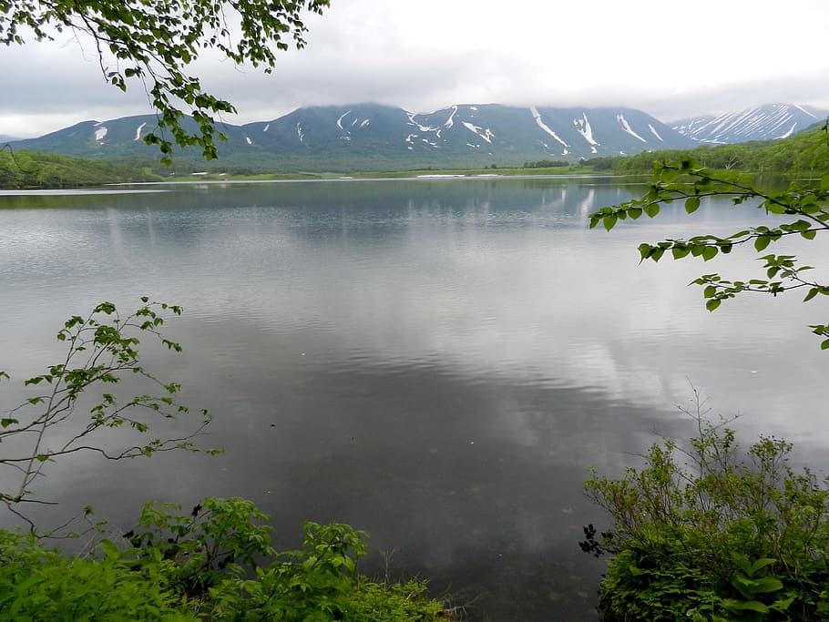 lake, mountains, forest, greens, birch, spring, tundra, river HD wallpaper