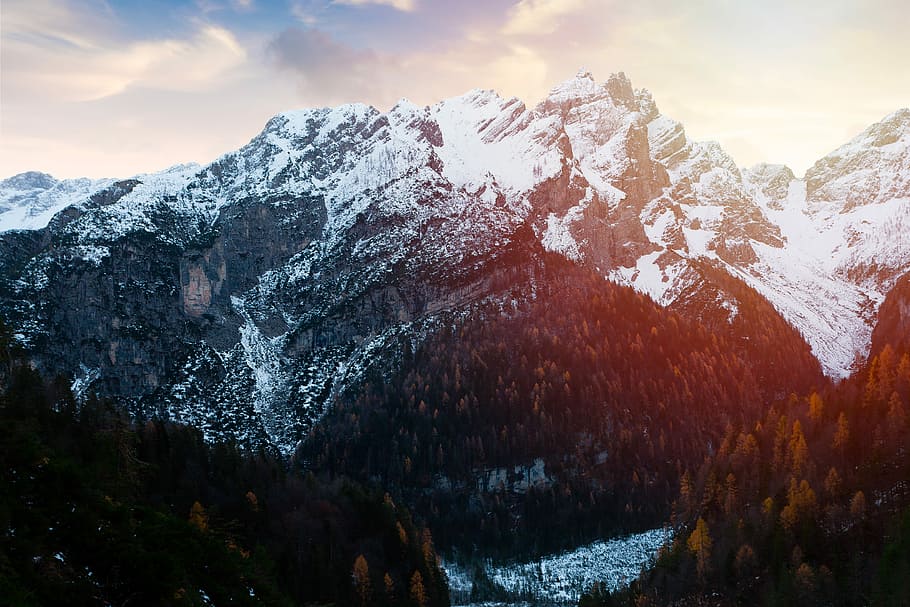 Wainting for this, snowcap mountain, tree, woodland, forest, beauty in nature HD wallpaper