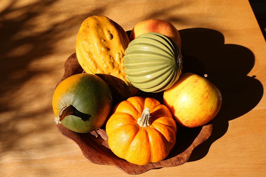 apple, autumn, autumn colours, squash, freshness, pumpkin, fruit HD wallpaper