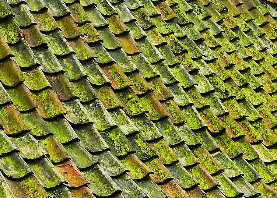 close-up photo of green shingle roof, green tiled roof, pattern HD wallpaper