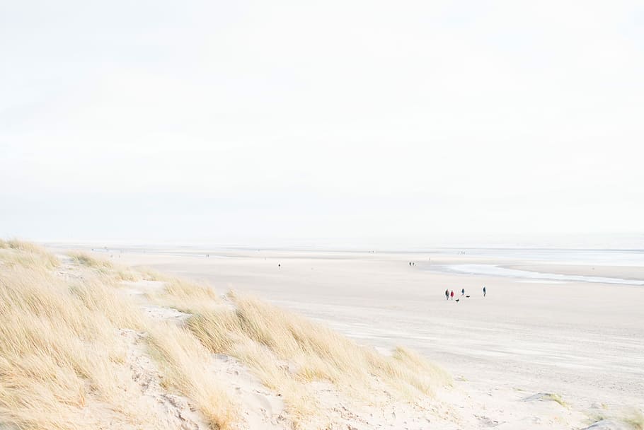 people on seashore during daytime, people on seashore, nature HD wallpaper