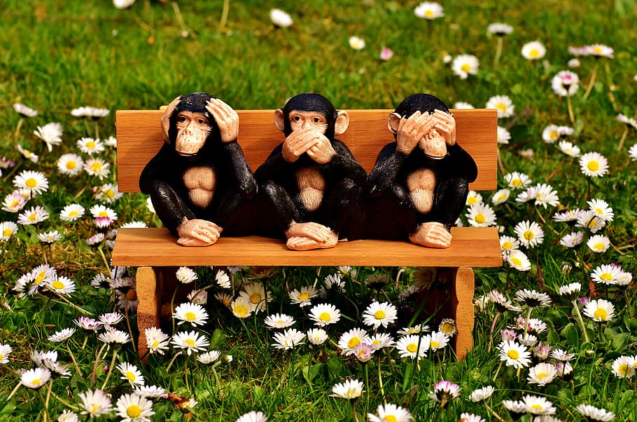 three wise monkeys sitting on bench figurine, not hear, not see, HD wallpaper