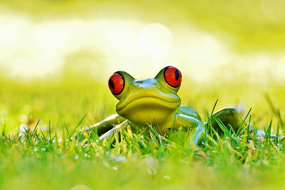 Hd Wallpaper Frog Meadow Figure Animal Green Cute Sweet Funny Art Stone Wallpaper Flare