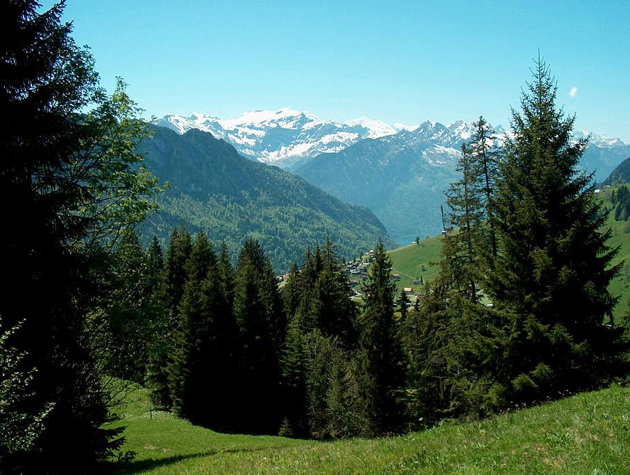 switzerland, snow, trees, landscape, travel, europe, mountains HD wallpaper