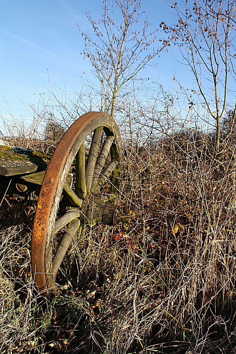 wagon wheel, old, tost, nostalgic, agriculture, carriage wheel HD wallpaper