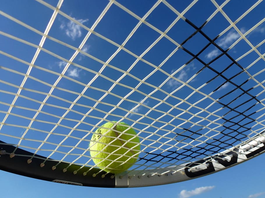 HD wallpaper: Wilson tennis ball on black and white Head tennis racket,  sport | Wallpaper Flare