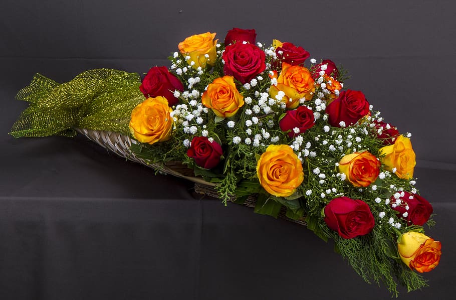 flowers, display, design, indoors, studio shot, plant, still life HD wallpaper