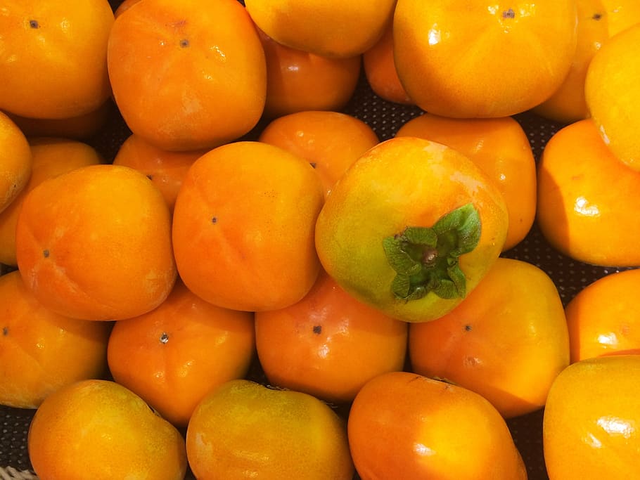 persimmon, autumn, fruit, seiyu ltd, living, supermarket, fruits and vegetables HD wallpaper