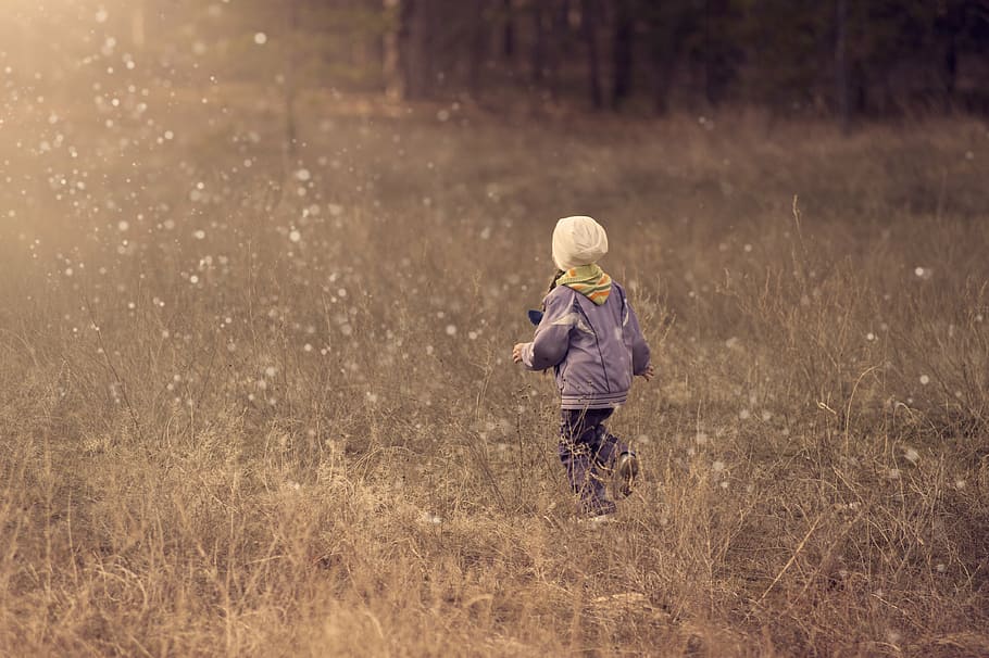 toddler wearing purple jacket standing on green grass field, kid
