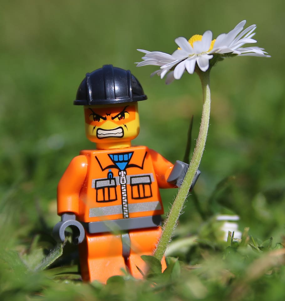 closeup photo of minifig standing beside white aster flower HD wallpaper