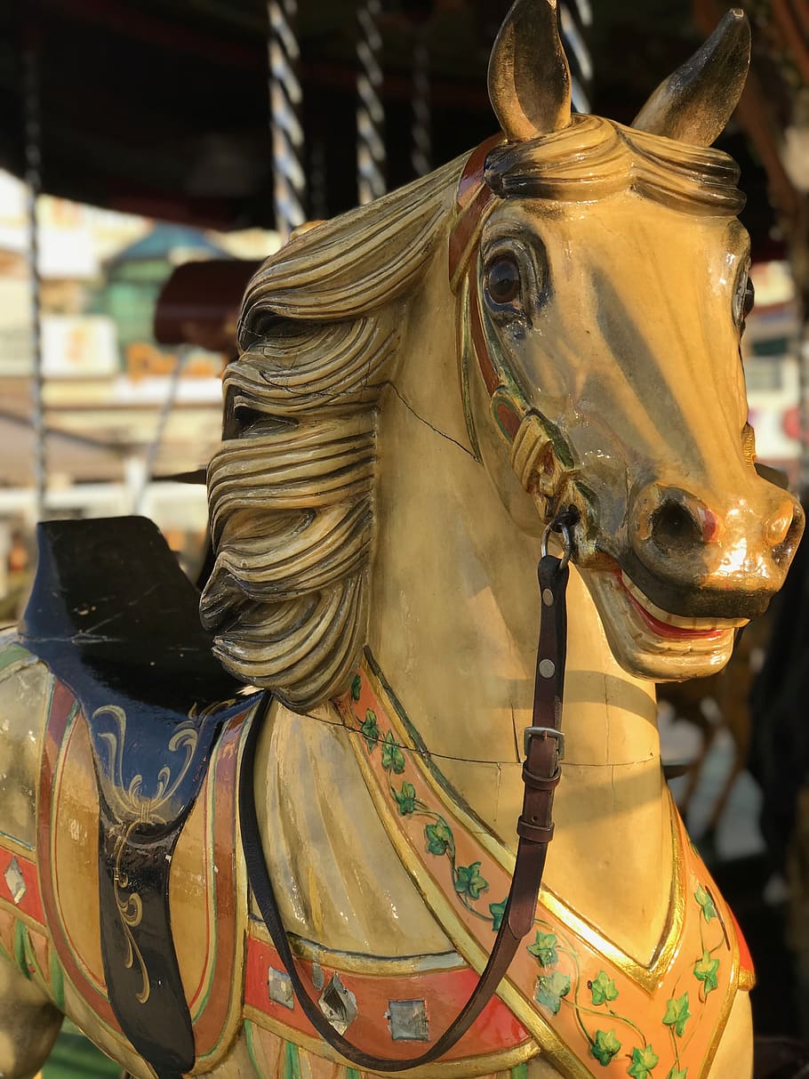 carousel, carousel horse, childhood, livestock, domestic, domestic animals HD wallpaper