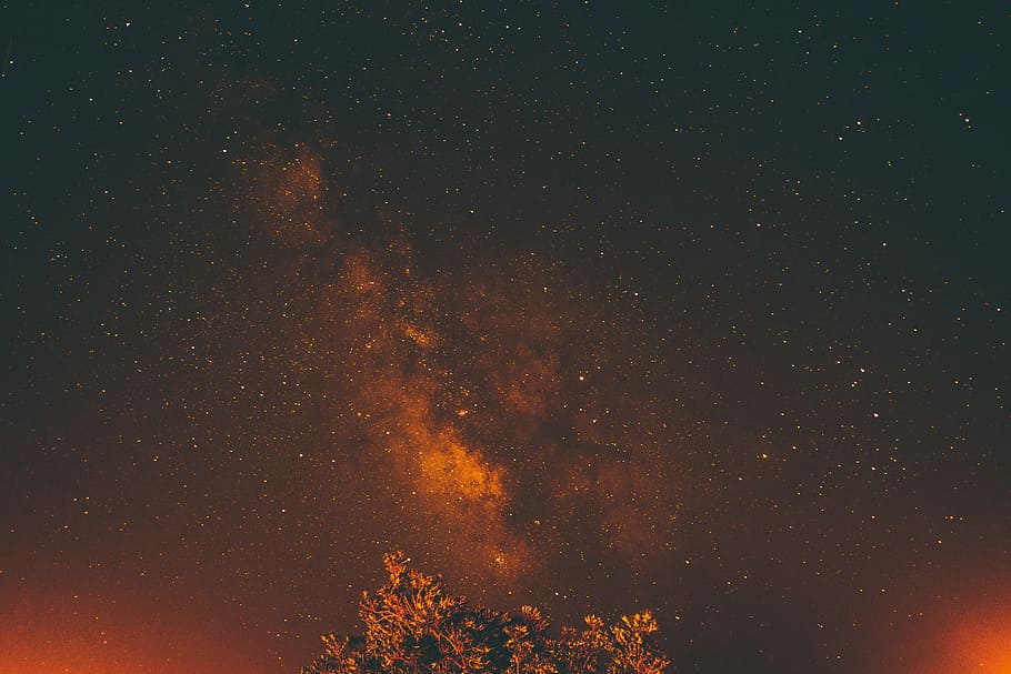 Bộ hình nền HD với chủ đề vẻ đẹp vũ trụ trên bầu trời đêm, cây cối kèm đường Ngân Hà là một kho tàng thiên nhiên vô cùng tuyệt vời để thưởng thức. Hãy tải về và thay đổi hình nền mỗi ngày cho chiếc máy tính của bạn để cảm nhận sự đổi mới và thú vị.