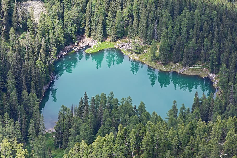 Online Crop Hd Wallpaper Aerial Photography Of Body Of Water Surrounded With Green Leaf Trees