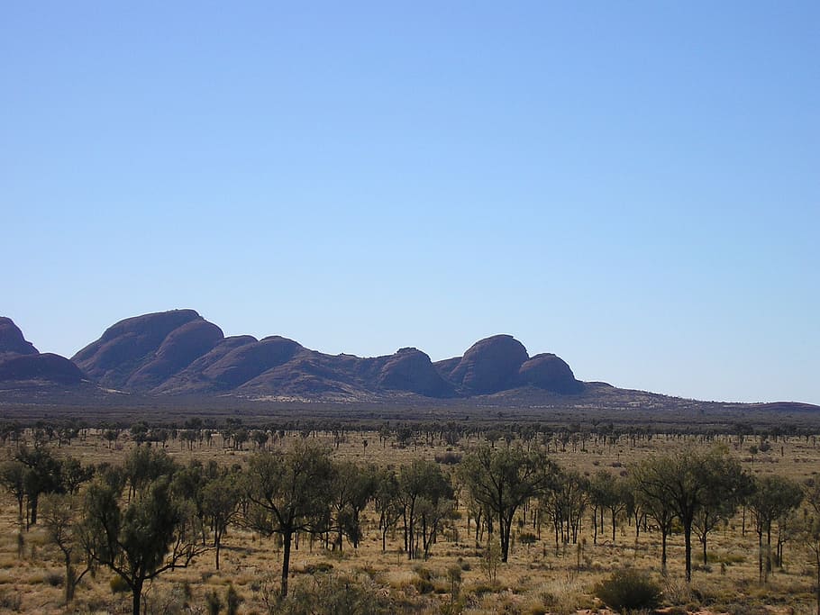 kata tjuta, outback, desert, australia, australian outback, HD wallpaper