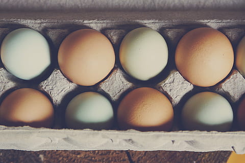 white and brown egg on gray tray, white and brown eggs, pattern HD wallpaper