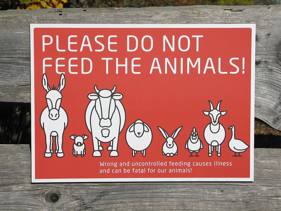 animals, shield, please do not feel the animals, do not feed HD wallpaper